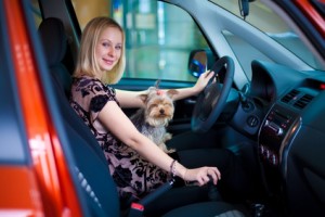 GAP Insurance Coverage